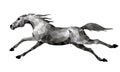 Galloping silver horse in low poly style